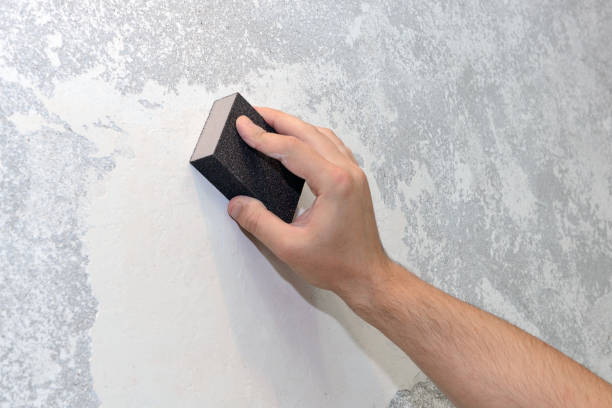 Best Biohazard Mold Removal  in , AL