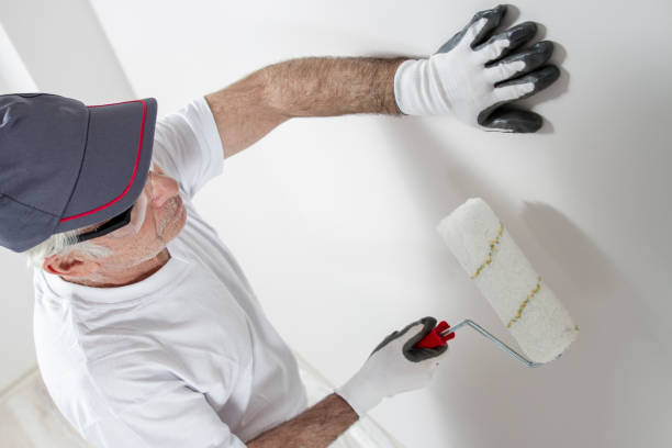 Best Black Mold Removal  in , AL