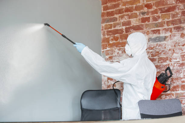 Best Mold Remediation for Healthcare Facilities  in , AL