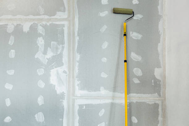 Best Mold Prevention Services  in , AL