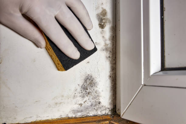 Best Post-Remediation Verification Testing  in , AL