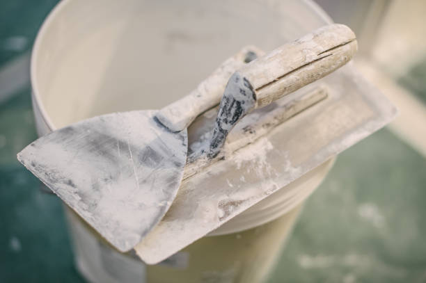 Best Emergency Mold Remediation  in , AL